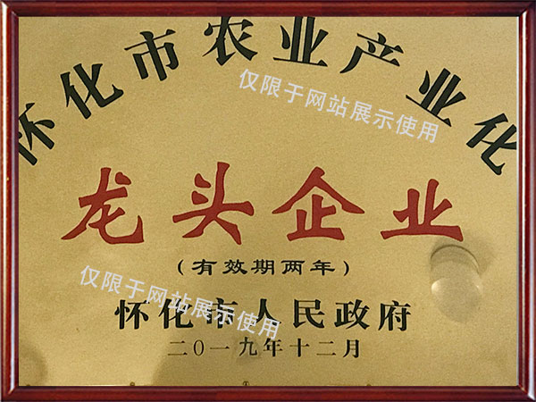 市農(nóng)業(yè)產(chǎn)業(yè)化龍頭企業(yè)